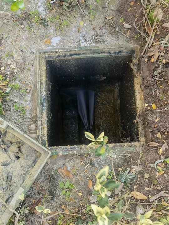 上虞道墟街道家庭地漏雏鸟APP福引导榴莲上门服务